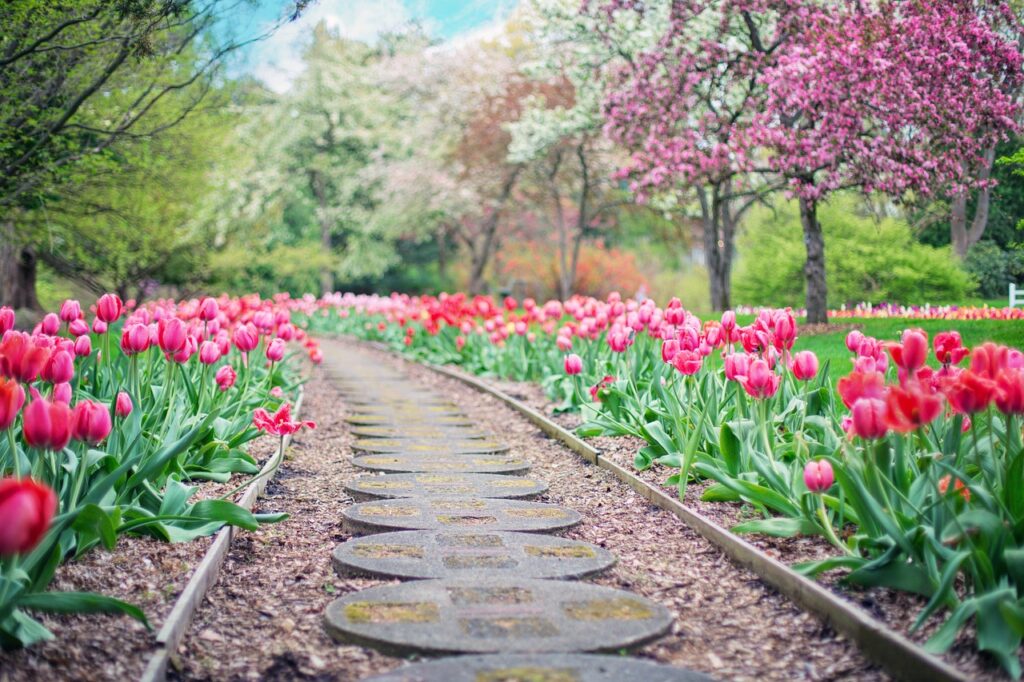 10 Beautiful Landscape Garden Ideas for Low Maintenance