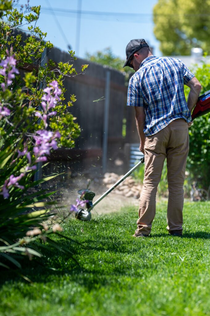 10 Creative Yard Edging Ideas