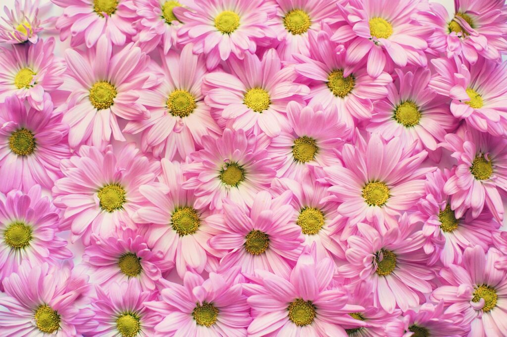 10 Essential Landscape Gardening Tips