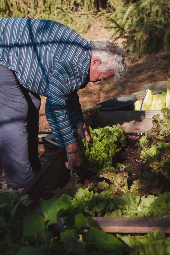 All Things Landscape Gardening: Perfect for Your Own Garden