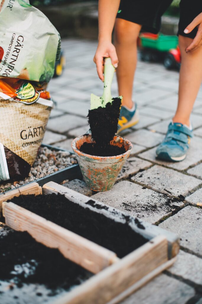 Creating Beautiful Landscapes: A Guide to Starting Your Own Gardening Business