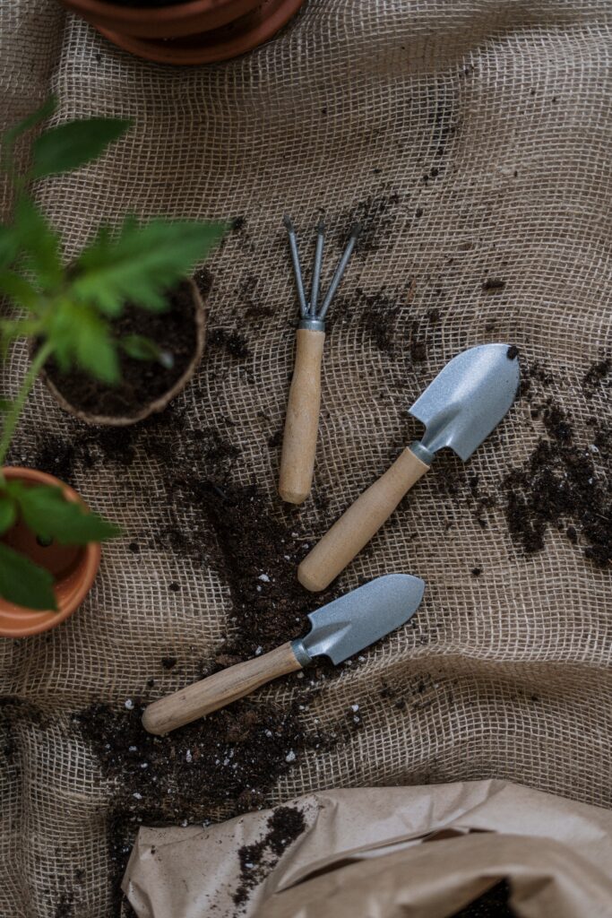 Creating Beautiful Landscapes: A Guide to Starting Your Own Gardening Business