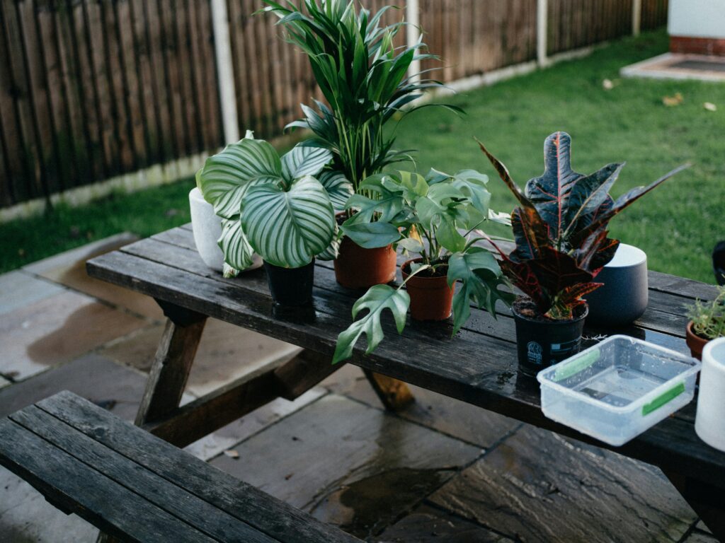 Factors Affecting Lawn Care Service Cost