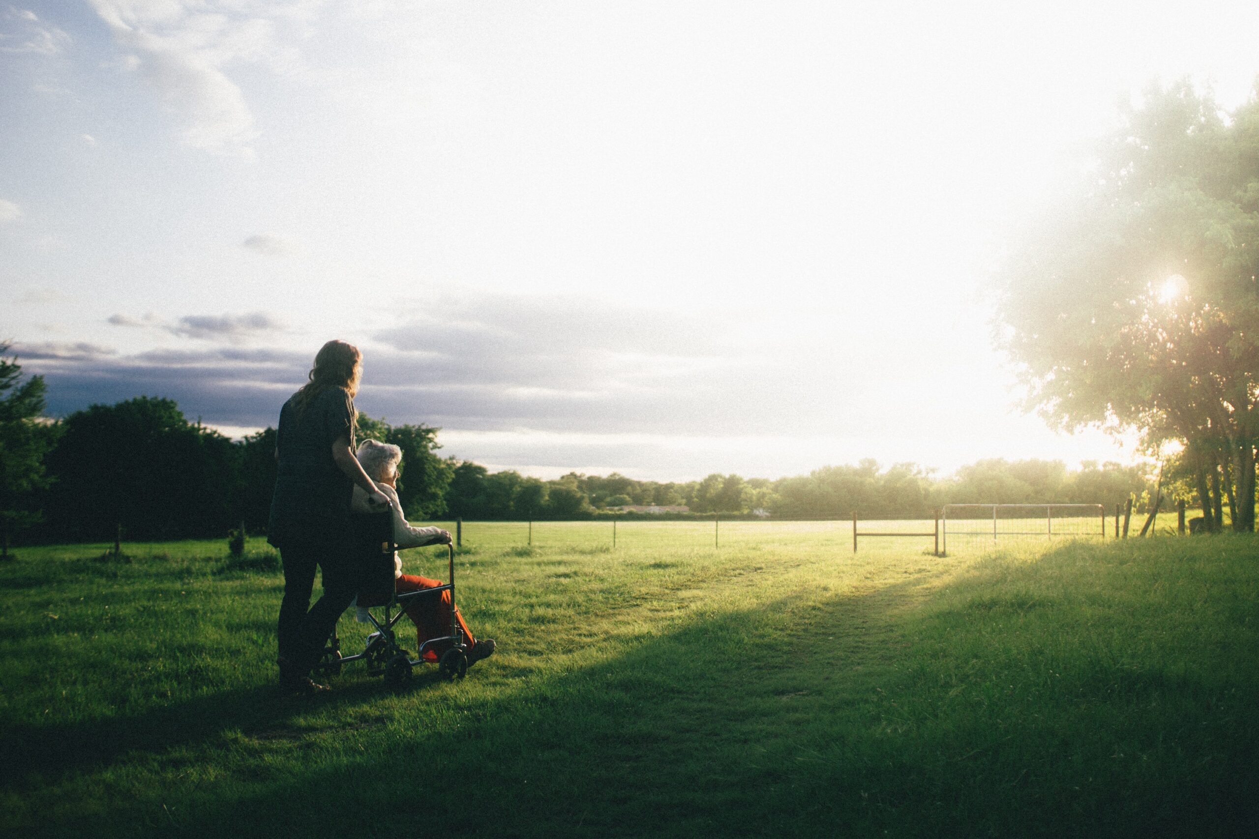 Factors Affecting Lawn Care Service Cost