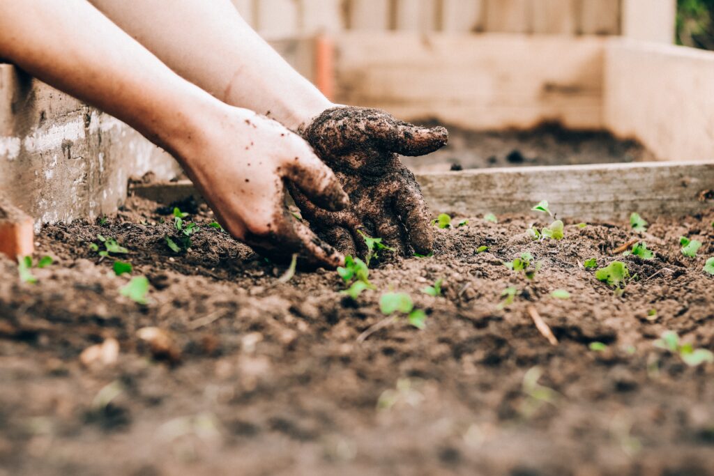 How to Landscape Your Garden: A Comprehensive Guide