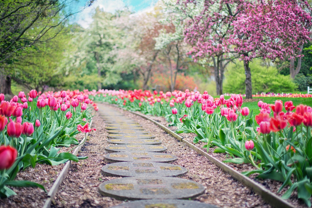 Principles for Creating a Beautiful Landscape Garden