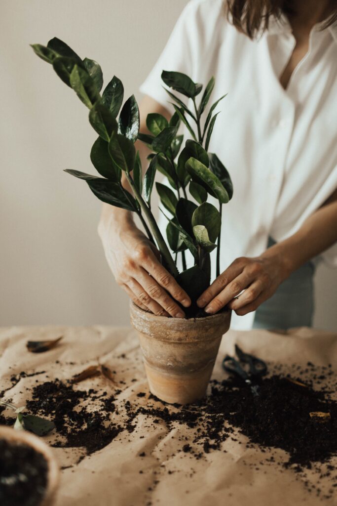 Principles of Landscape Gardening: A Comprehensive Guide