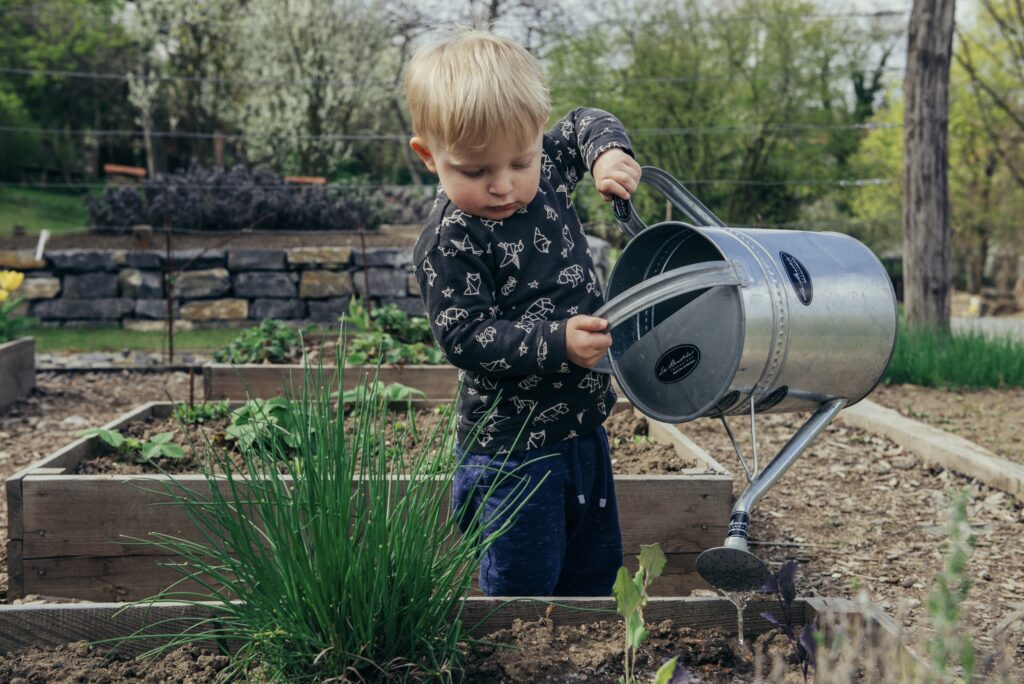 Principles of Landscape Gardening: A Comprehensive Guide
