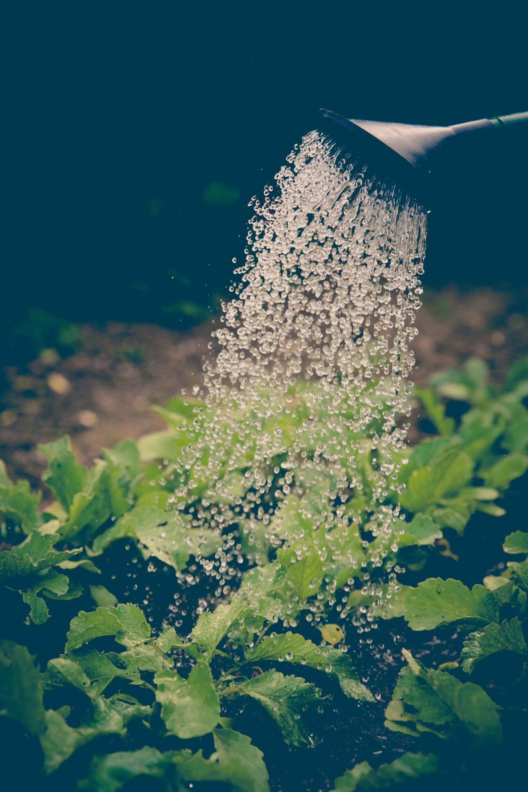 The Write Gardener: Your Comprehensive Landscape Gardening Guide