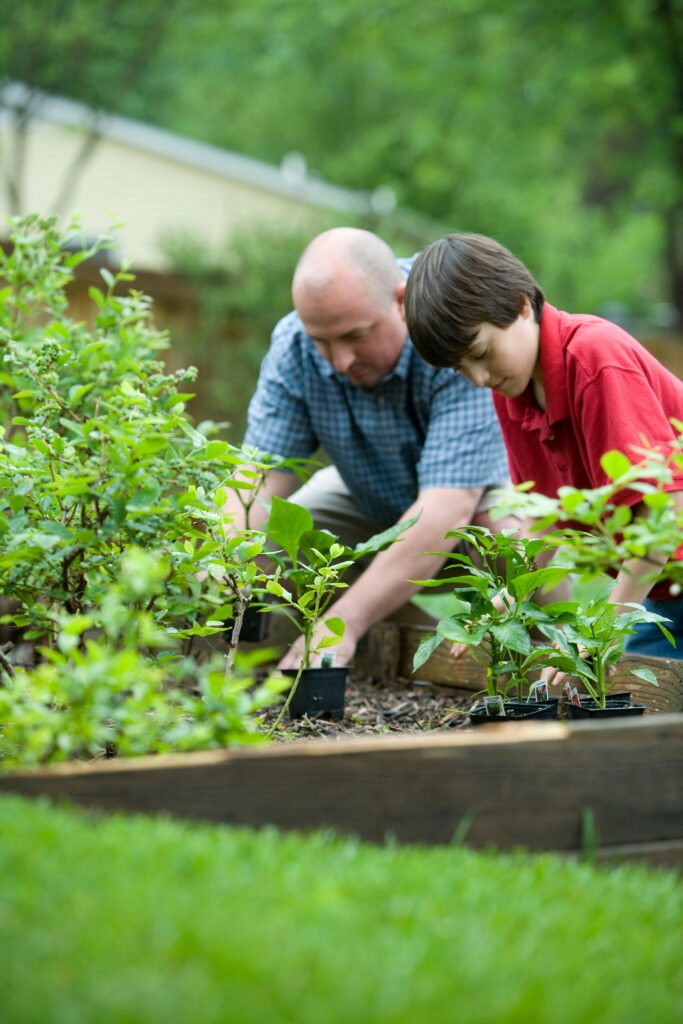 Transform Your Backyard with Landscape Gardening Ideas